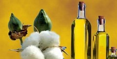 Cotton Seed Oil (Crude) 