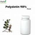 Bulk Trans-Polydatin 98% Extracted From