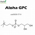 alpha GPC alpha