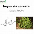 Huperzine a Huperzia serrata Extract CAS 102518-79-6