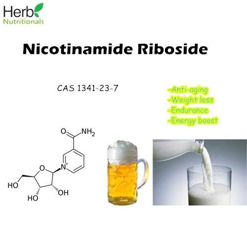 Bulk Nicotinamide Riboside (NR) Powder CAS 1341-23-7