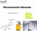 Bulk Nicotinamide Riboside (NR) Powder CAS 1341-23-7