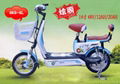 Electric Bicycle(OKS-XL)