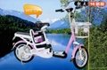 Electric Bicycle(OKS-LD) 1