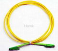 E2000 Fiber Optic Patch Cord 1