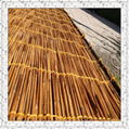 Carbonized reed screen