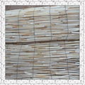 reed screen 113203 1