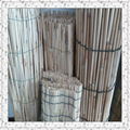 reed screen 113201 1