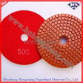 Diamond Polishing Pads