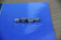 Tungsten Carbide Flattop Button 2