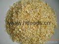 dehydrated onion granules