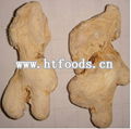 dehydrated ginger root 1