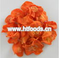 dehydrated carrot slice/granules/powder 4