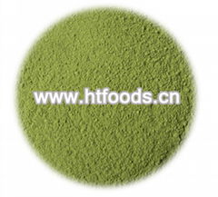 dehydrated spinach leaf/powder