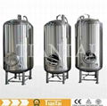 craft beer brewing equipment for pub/hotel