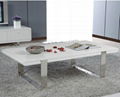 Stainless Steel Paitning Coffee Table