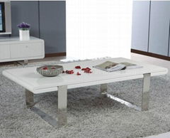 Stainless Steel Paitning Coffee Table (WLF-CT013)