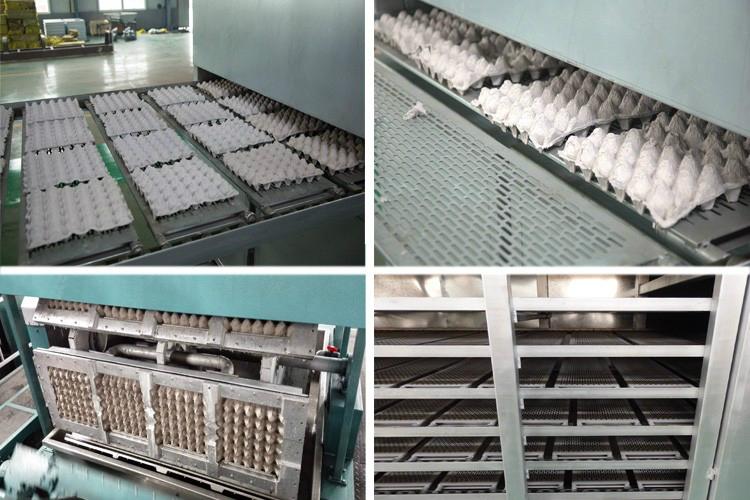 Energy saving plastic egg tray making machine with CE 3