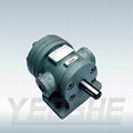 Vane Pump