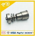 domeless Gr2 male female titanium smoking nail in smoking pipe parts