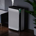 China Factory Oem Room Air Purifier With