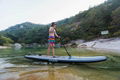 Shark SUPs inflatale stand uppaddle