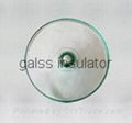 glass insulator