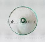 glass insulator