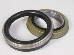 Projects Mechanical Oil Seals