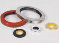 PTFE Seal