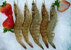 frozen vannamei shrimp HOSO China