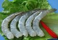 frozen vannamei shrimp raw PDTO China