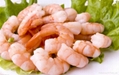 frozen vannamei shrimp cooked PDTO China 2