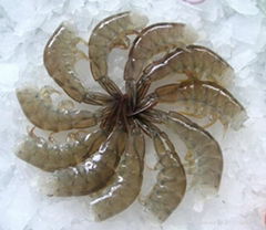 frozen vannamei shrimp Raw HLSO China