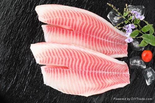 frozen tilapia fillet China