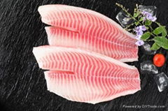 frozen tilapia fillet China