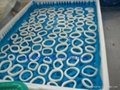 frozen squid ring China