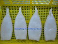 frozen squid tube China 2