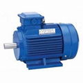 Y2 series ac electric motors 1