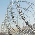 Concertina Razor Wire