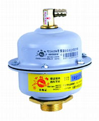 Automatic Air Vent Valve