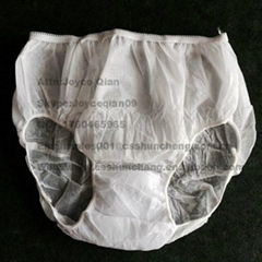 Disposable nonwoven briefs