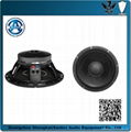 professional 12'' woofer pseaker