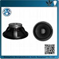 15'' B&C woofer speaker 1