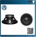 professional 12‘’ B&C woofer speaker 1