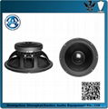 professional Ciare speaker/12'' woofer