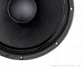 New 15'' B&C loudspeaker 2