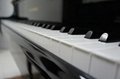 钢琴琴键 1