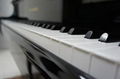 Piano keys