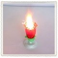 indoor sparkler birthday candle for birthday 2